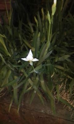 Юличка, 8 911 476-99-46 Юличка — анкета девушки и фото